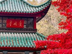 -岳麓山风景名胜区