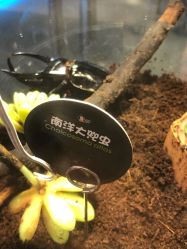 -七巧国萌宠乐园(龙湖天街店)