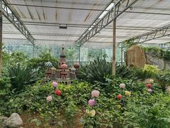 -南宫五洲植物乐园