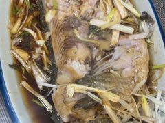 -微山岛春天里酒家