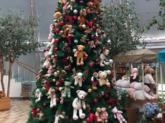 -济州岛泰迪熊博物馆