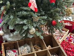 -知物癖(牛王庙店)
