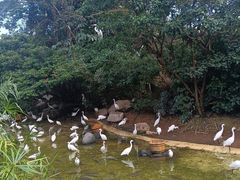 -珠海长隆海洋王国