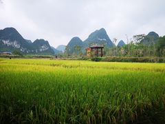 -靖西鹅泉风景区