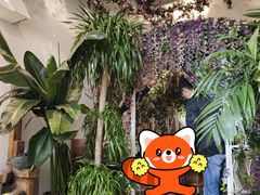 -金孔雀德宏傣味餐馆(魏公村店)