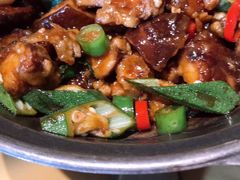 -素虎小呆鸟(西二旗店)