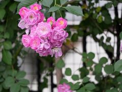 -常熟路(地铁站)