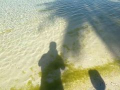 -白沙滩