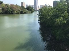 -金鸡岭桥头公园