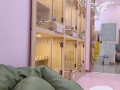 -爪爪喵星球·猫舍(前海卓越店)