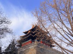 -故宫博物院(故宫)