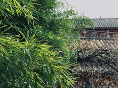 -田德能咖啡博物馆