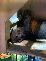 点击看大图 -酷嗒动物文化乐园(cutezoo西溪乐天城店)