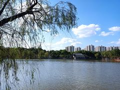 -南汇桃花村