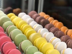 -CAKE BOSS 蛋糕老板(领展购物广场·中关村店)