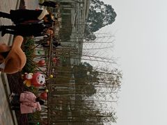 -黄龙溪欢乐田园