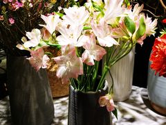 -懒人盐府人家(航天桥店)