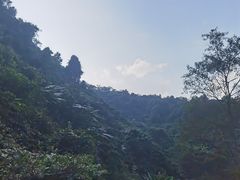 -古龙山大峡谷