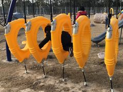 -上海长兴岛郊野公园