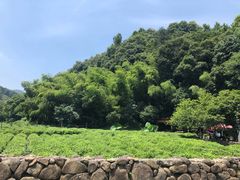 -杭州西湖风景名胜区-三生石