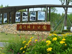 -府河摄影公园