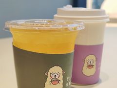 -怪兽屋·羊驼·猫咖·狗咖(俊华广场店)