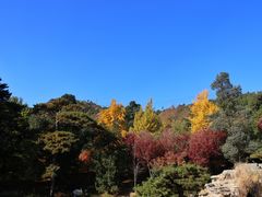 -香山公园