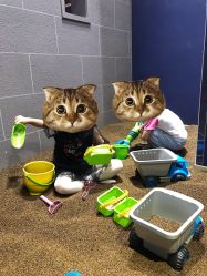 -幻贝家儿童乐园(苏州中心店)