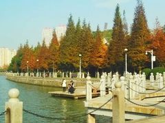 android_upload_pic-燕鸣岛