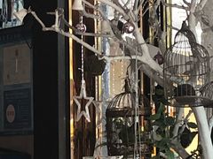 -蝴蝶汇音乐酒馆(罗湖店)