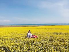 -青海湖国家重点风景名胜区