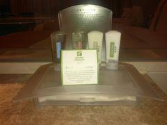 -上海浦东康桥绿地假日酒店