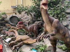 -国家自然博物馆