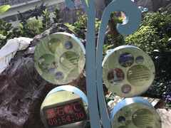 -青岛海泉湾度假区温泉