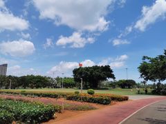 -万绿园