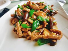 -大雄九老菜馆(南门桥店)