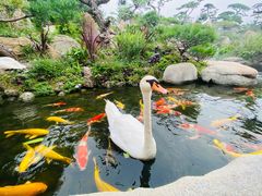 -罗红摄影艺术馆