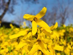 -西安汉城湖景区