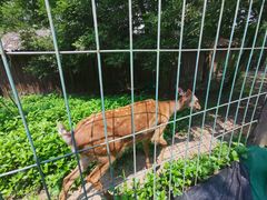 -广西壮族自治区药用植物园