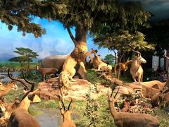 -国家自然博物馆