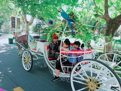 -辛玛王国游乐园