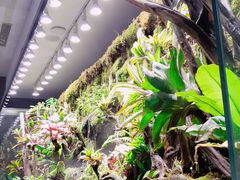 -唐山宴大唐州府精品中餐
