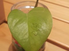 -维也纳酒店(深圳机场店)