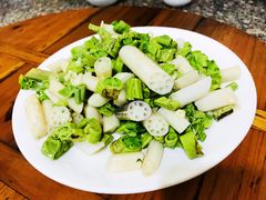 荷叶尖拌藕芽-夏家大锅台炖鱼馆