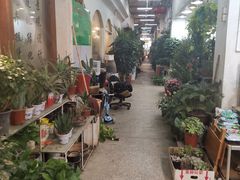 -双季花艺园艺市场(浦东店)