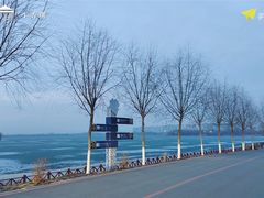 -丁香湖公园