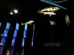 -同济大学四平路校区深海探索馆