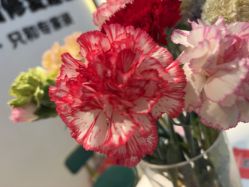 -Dr.林醫生产后修复·配方产康店(南京大厂店)