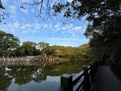 -白马涧龙池景区
