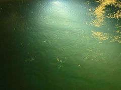 -太白山御龙湾温泉